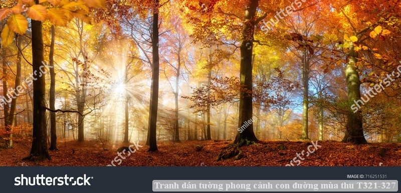 Tranh dán tường phong cảnh hồ thác, cây cối T321-537